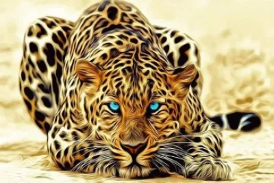 Leopardo