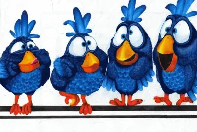 Birds