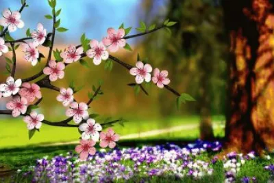 Flor de almendro jigsaw puzzle
