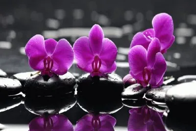 flores jigsaw puzzle