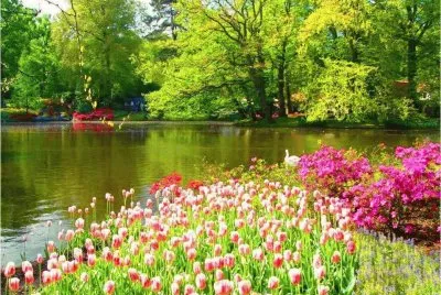 lago jigsaw puzzle