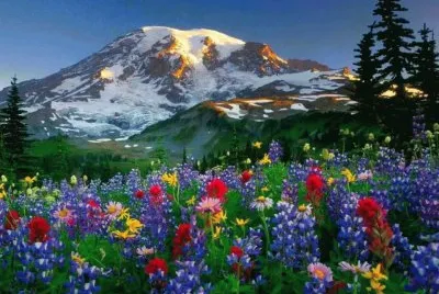 MONTAÃ‘A jigsaw puzzle