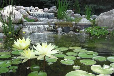 ESTANQUE EN EL JARDIN jigsaw puzzle