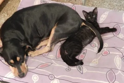 LA ENANA Y LA CHILI