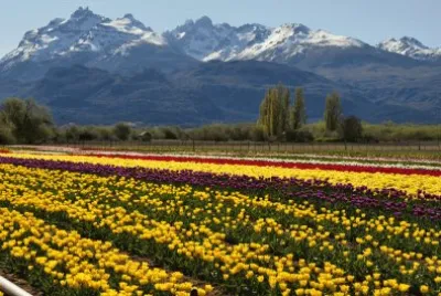 Trevelin. Chubut. Argentina