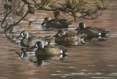 136 jigsaw puzzle