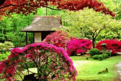 flores