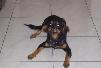 bony