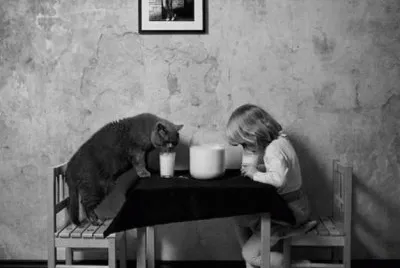 niÃ±o y gato 1