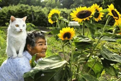 gato y seÃ±ora