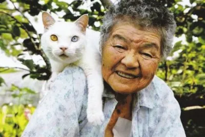 gato y seÃ±ora 2