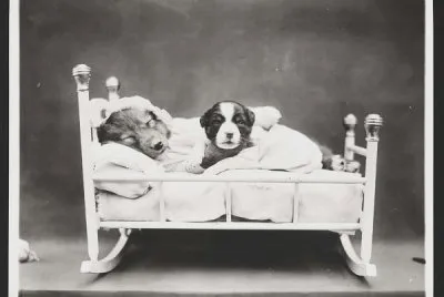durmiendo