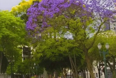 פאזל של ParanÃ¡