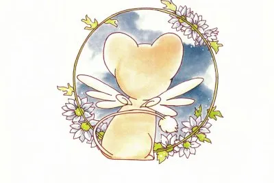 Card Captor Sakura 30