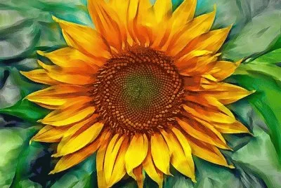 Sunflower Paintng