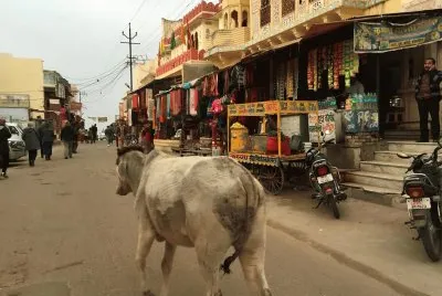 Pushkar - India