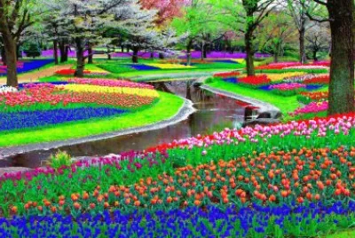 פאזל של Parque de colores