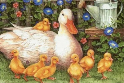 patos