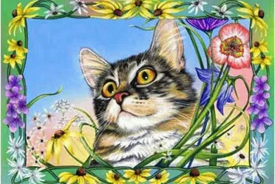 פאזל של gato