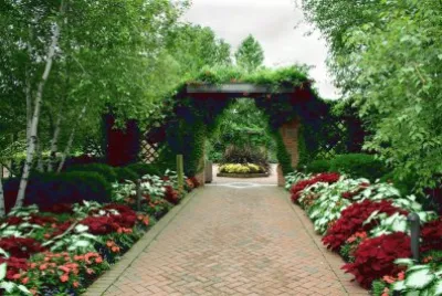 פאזל של jardim