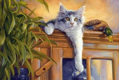 gato