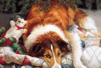 cÃ£o