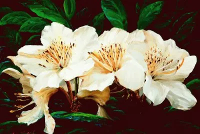 פאזל של flor