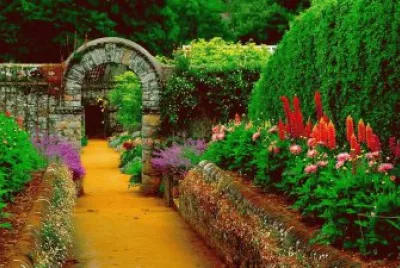 פאזל של jardim