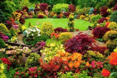 פאזל של jardim