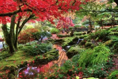 פאזל של jardim
