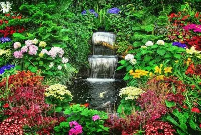 פאזל של jardim