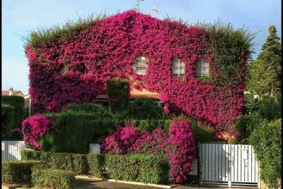 פאזל של edificio