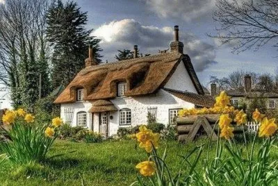 cabaÃ±a jigsaw puzzle