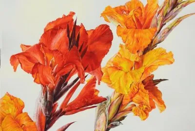 פאזל של Red and Yellow Cannas