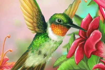 פאזל של Hummingbird Paint