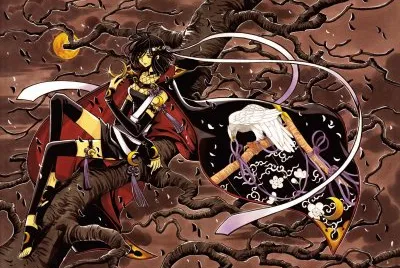 Tsubasa Reservoir Chronicle 13