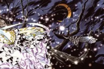 Tsubasa Reservoir Chronicle 14