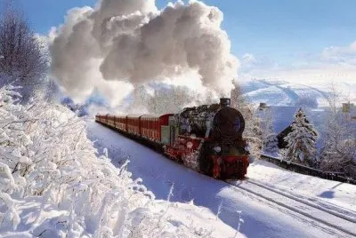NÂº 536