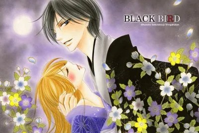 Black Bird 6