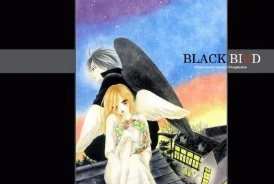 Black Bird 8