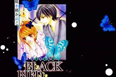 Black Bird 9