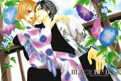 Black Bird 10