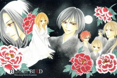 Black Bird 11