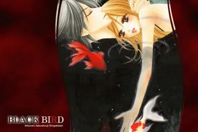 Black Bird 12