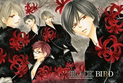 Black Bird 14