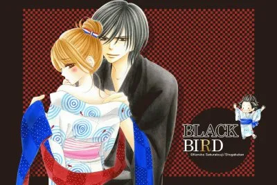 Black Bird 15