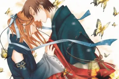 Fruits Basket 14