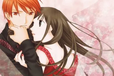 Fruits Basket 17