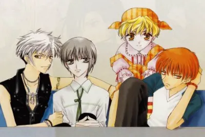 Fruits Basket 33