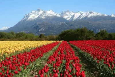 Trevelin. Chubut. Argentina jigsaw puzzle